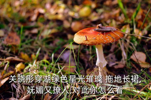 关晓彤穿湖绿色星光璀璨 拖地长裙,妩媚又撩人,对此你怎么看