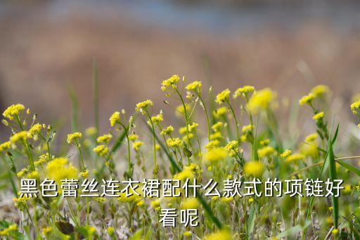  黑色蕾丝连衣裙配什么款式的项链好看呢