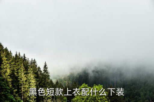 黑色短款上衣配什么下装