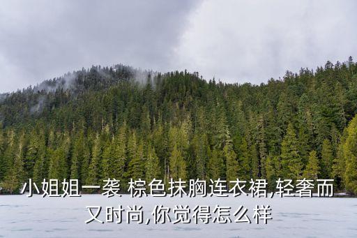 小姐姐一袭 棕色抹胸连衣裙,轻奢而又时尚,你觉得怎么样