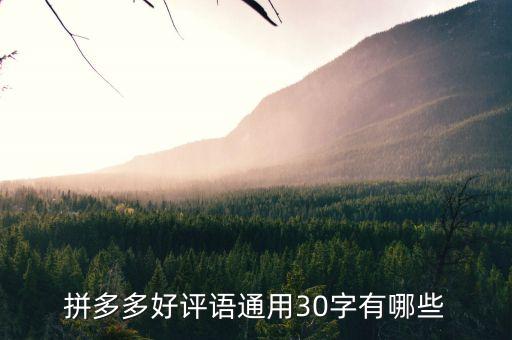 胖女孩pdd好看裙子,11岁胖女孩穿什么版型的裙子好看