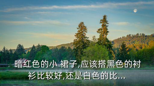  暗红色的小 裙子,应该搭黑色的衬衫比较好,还是白色的比...
