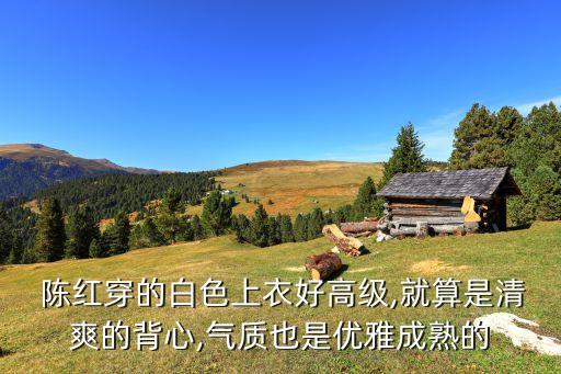  陈红穿的白色上衣好高级,就算是清爽的背心,气质也是优雅成熟的