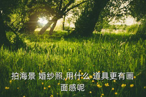 拍海景 婚纱照,用什么 道具更有画面感呢