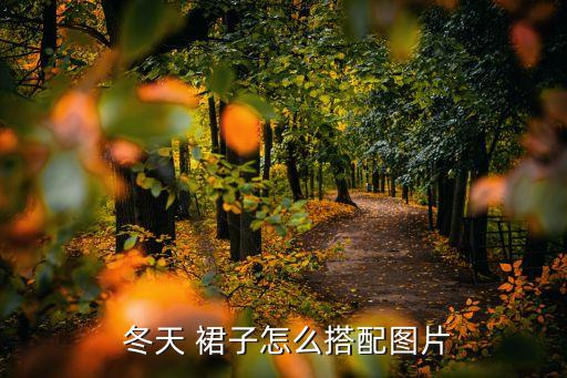  冬天 裙子怎么搭配图片