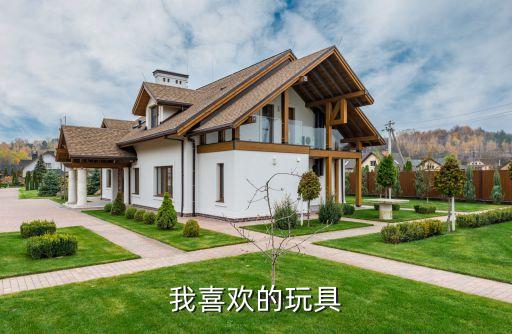 我喜欢的玩具