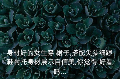 身材好的女生穿 裙子,搭配尖头细跟鞋衬托身材展示自信美,你觉得 好看吗...