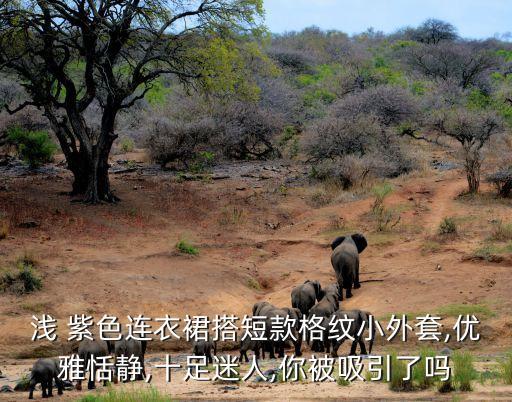 浅 紫色连衣裙搭短款格纹小外套,优雅恬静,十足迷人,你被吸引了吗