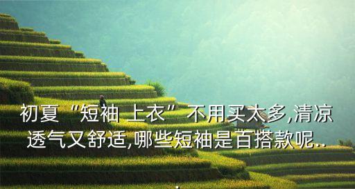 初夏“短袖 上衣”不用买太多,清凉透气又舒适,哪些短袖是百搭款呢...
