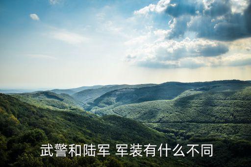 武警女军装裙子图片,解放军和武警的军帽是什么?