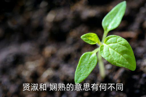 娴熟这个词是什么意思,娴熟形容一个女人是什么意思