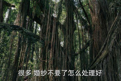很多 婚纱不要了怎么处理好