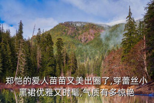 郑恺的爱人苗苗又美出圈了,穿蕾丝小黑裙优雅又时髦,气质有多惊艳