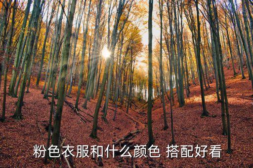 简单粉色裙子怎么搭配
