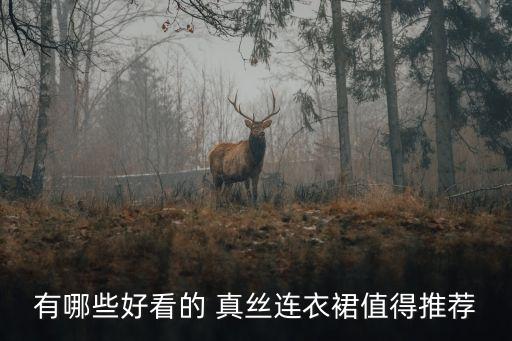 有哪些好看的 真丝连衣裙值得推荐