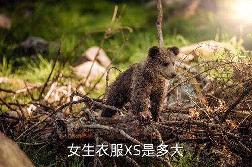 好看的xs 的裙子,男生穿什么裙子好看