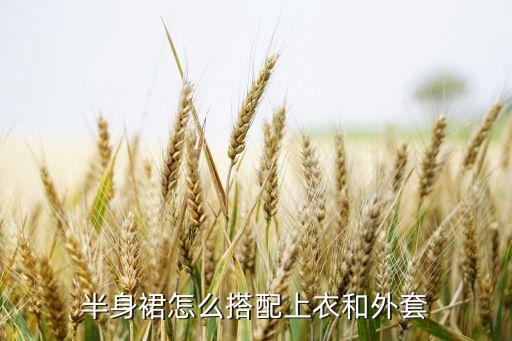 半身裙怎么搭配上衣和外套
