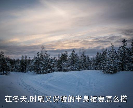 在冬天,时髦又保暖的半身裙要怎么搭