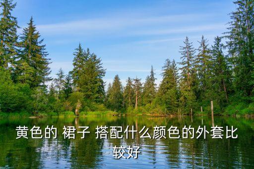 黄色的 裙子 搭配什么颜色的外套比较好