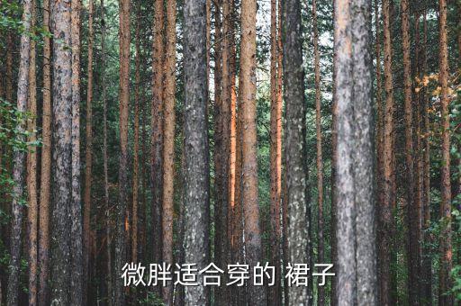 微胖适合穿的 裙子