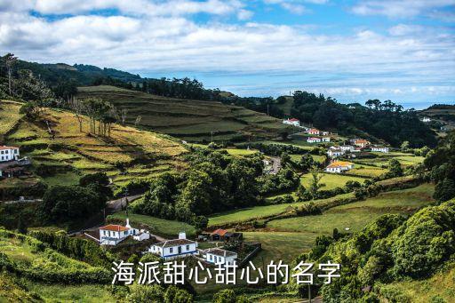 海派甜心甜心的名字
