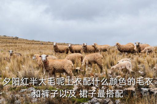 学校落日拍照穿搭裙子