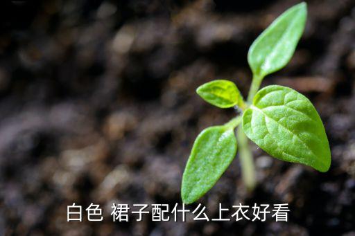 白色 裙子配什么上衣好看