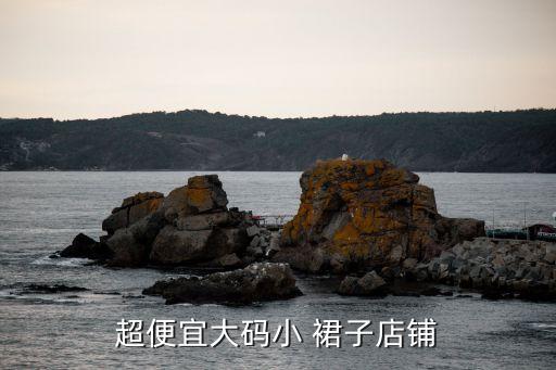 超便宜大码小 裙子店铺
