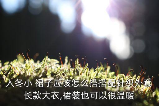 入冬小 裙子应该怎么搭搭配针织外套长款大衣,裙装也可以很温暖