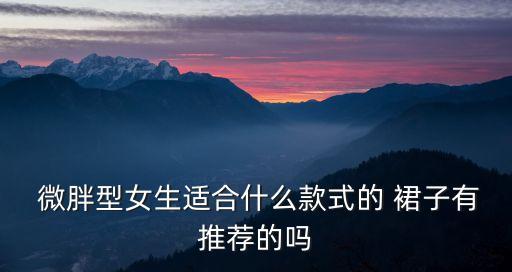 内搭穿搭微胖裙子女士