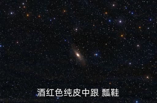 酒红色纯皮中跟 瓢鞋