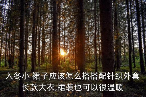 入冬小 裙子应该怎么搭搭配针织外套长款大衣,裙装也可以很温暖
