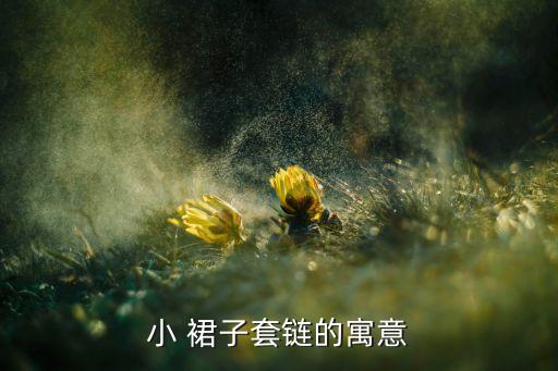 林铁塔项链搭配裙子