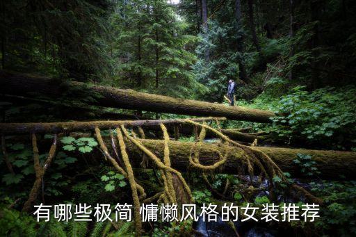 有哪些极简 慵懒风格的女装推荐