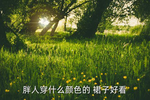 胖人穿什么颜色的 裙子好看