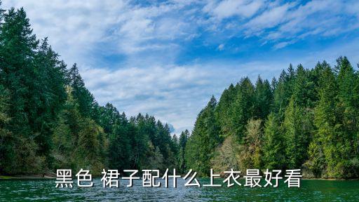 黑皮学生裙子穿搭女生,夏天穿搭裙子学生