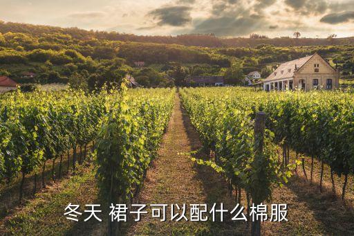 银色袄搭配裙子,银色亮片裙子搭配什么上衣