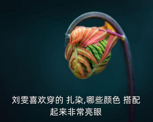 刘雯喜欢穿的 扎染,哪些颜色 搭配起来非常亮眼