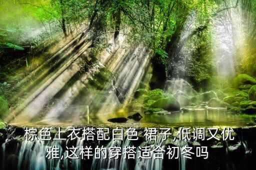  棕色上衣搭配白色 裙子,低调又优雅,这样的穿搭适合初冬吗