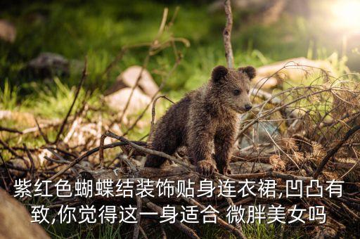 紫红色蝴蝶结装饰贴身连衣裙,凹凸有致,你觉得这一身适合 微胖美女吗