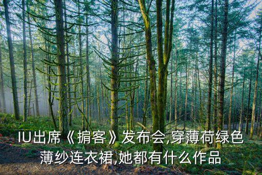 IU出席《掮客》发布会,穿薄荷绿色薄纱连衣裙,她都有什么作品