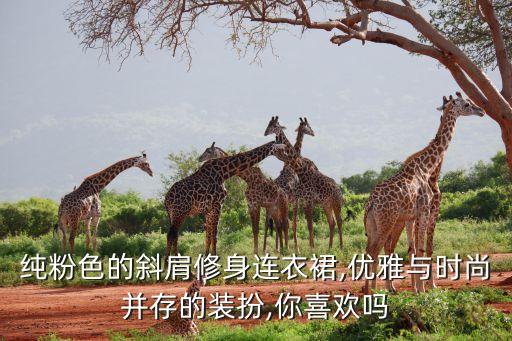 纯粉色的斜肩修身连衣裙,优雅与时尚并存的装扮,你喜欢吗