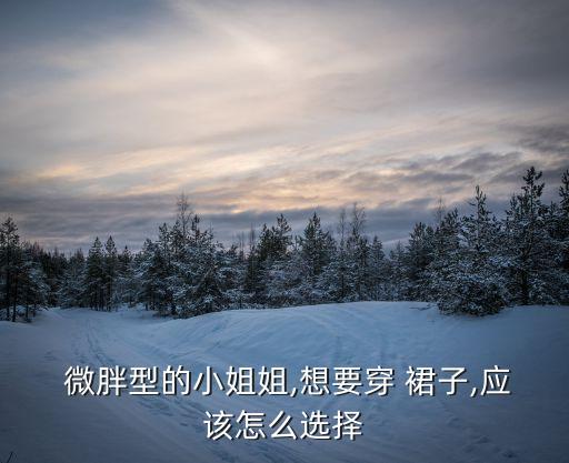 微胖裙子高马尾好看吗,扎高马尾穿什么裙子好看