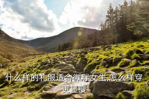 胖妹妹棉麻裙子旗袍裙