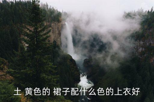 土 黄色的 裙子配什么色的上衣好