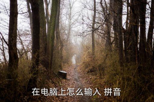 拼音打字教学教程,电脑拼音打字快速入门教学