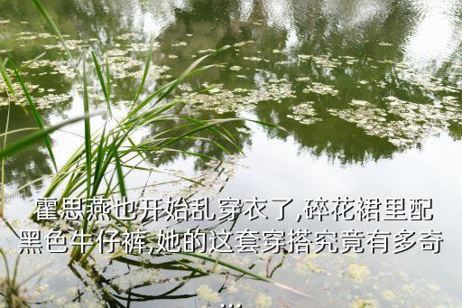 霍思燕裙子牌子,来电狂响霍思燕裙子是什么牌子