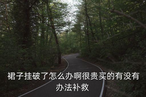  裙子挂破了怎么办啊很贵买的有没有办法补救