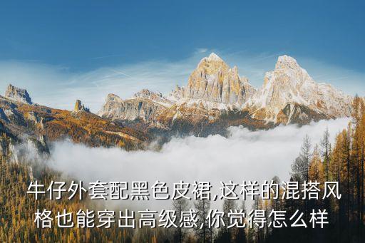  牛仔外套配黑色皮裙,这样的混搭风格也能穿出高级感,你觉得怎么样