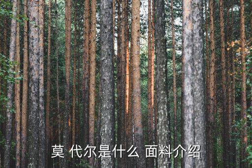 莫代尔面料裙子